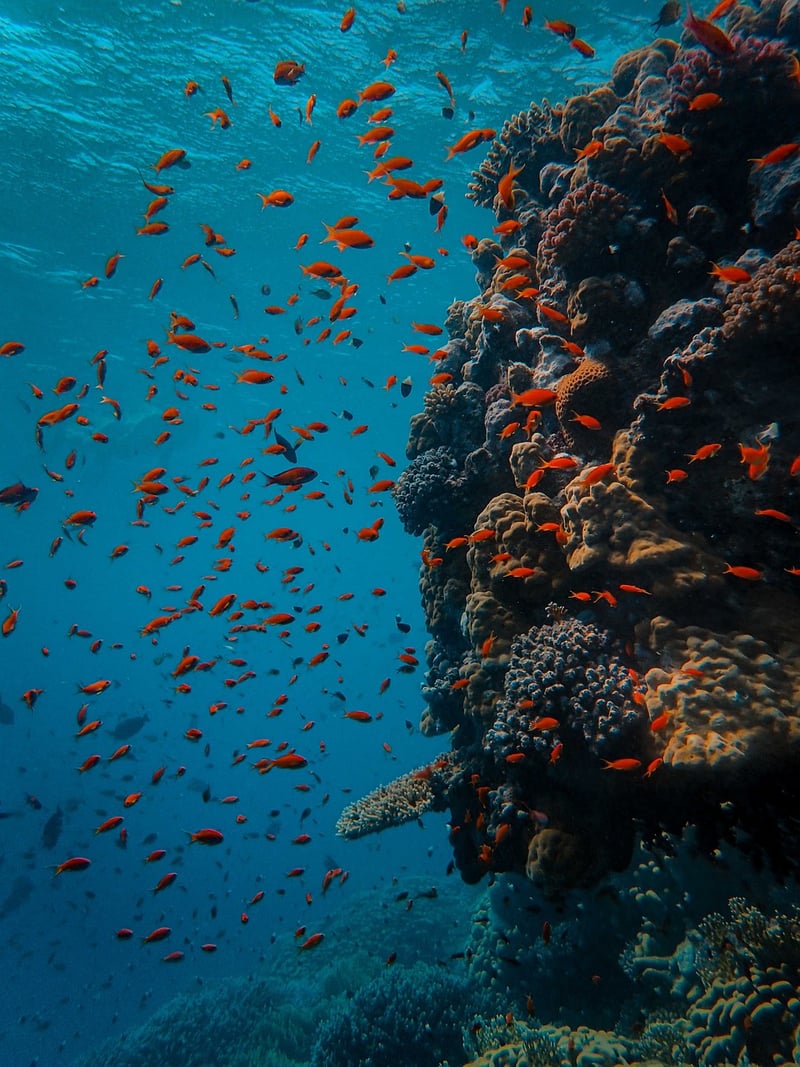 Underwater Odyssey
